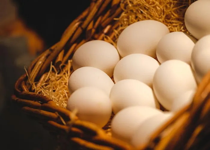 Schallers Tannenhof Hotel 3*