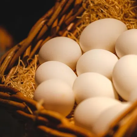 Schallers Tannenhof Hotel 3*